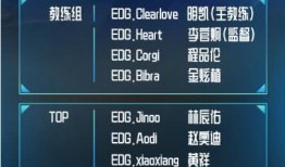 edg最新爆料2025,揭秘战队最新动态与战略布局