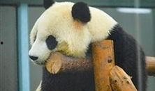 天津动物园爆料新闻最新