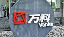 万科股东爆料最新消息视频