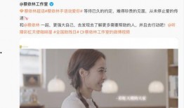 蓝台艺人爆料最新消息视频,最新消息视频揭秘娱乐圈内幕