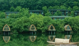 辽沈银行最新爆料电话号