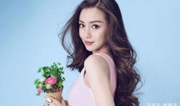 王智荣耀最新爆料是真的吗,真实性揭秘，真相即将揭晓！