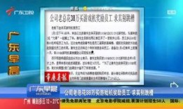 广东讨薪新闻爆料视频最新,最新视频揭露农民工维权困境