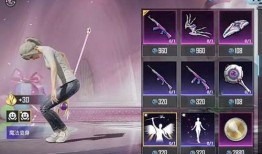 吃鸡车皮皮肤爆料最新,神秘设计引玩家热议