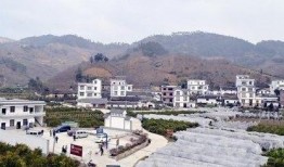 蒙山县爆料网最新,最新动态，揭秘蒙山新鲜事！