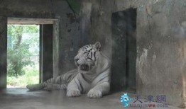 天津动物园爆料新闻最新