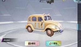 吃鸡车皮皮肤爆料最新,神秘设计引玩家热议