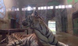 天津动物园爆料新闻最新