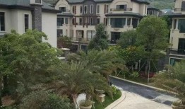 辽沈银行最新爆料电话号