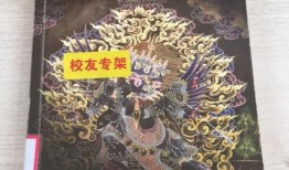 典藏唐卡最新爆料,最新爆料揭示千年艺术瑰宝的神秘面纱