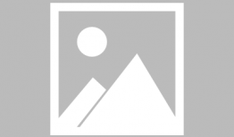 阜阳公众网爆料信息最新,最新事件引发社会关注