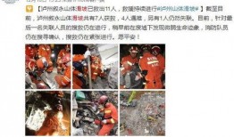 泸州最新爆料新闻报道网,揭秘事件背后真相