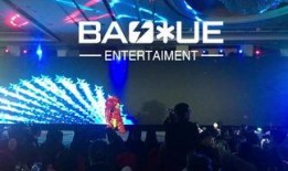 年会爆料视频大全集最新,精彩瞬间回顾，年度盛宴亮点大揭秘