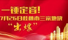 桂林楼盘爆料信息网站最新