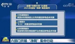 央视网最新爆料新闻,揭秘重大事件背后真相