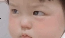 搞笑最新爆料文案大全,最新搞笑爆料文案大盘点