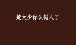 认错人最新大爆料免费观看,大爆料免费观看，真相即将揭晓！