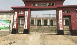 蒙阴县最新爆料新闻,最新爆料揭示惊人真相