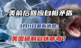 美国病毒爆料最新消息,最新疫情动态与科学研究成果盘点