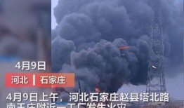 永年事件爆料视频大全最新,最新爆料视频大盘点